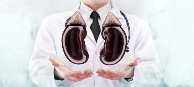 Best nephrologist in Ahmedabad, Gujarat, 
Best Nephrologist Renal Specialists Doctors in Ahmedabad, Gujarat, 
Best Neurological Problems Doctors Near Ahmedabad, Gujarat
